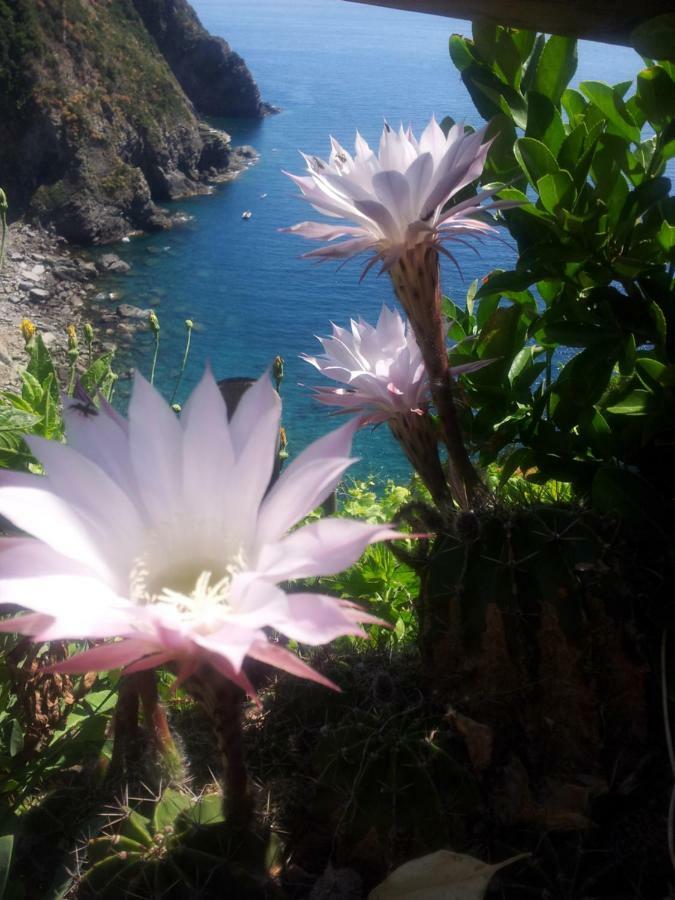 5 Terre For You Riomaggiore Dış mekan fotoğraf